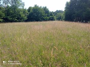 Pohľad na lokalitu.