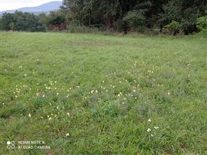Pohľad na lokalitu.