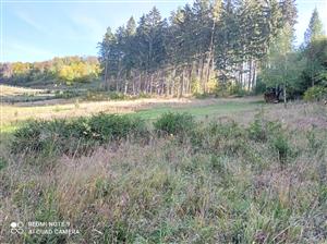 Pohľad na lokalitu.