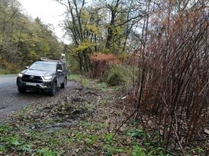 Horne_Hamre_Fallopia_14112023
