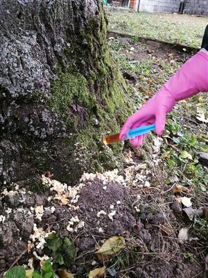 Novomesky_park_09102023