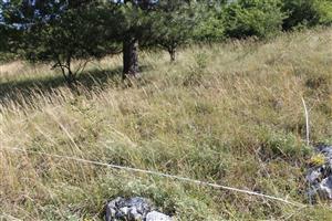 TMP Kršlenica