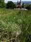 Bojnice_bazantnica_30_04_2024