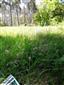 Bojnice_bazantnica3_30_04_2024