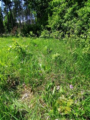 Bojnice_bazantnica4_30_04_2024