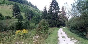 2024-08-28 - Korytnicka dol