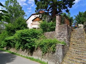 Výskyt Fallopia pri CHS sekvojovci