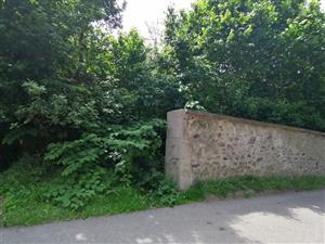 Výskyt CHS v okolí CHS sekvojovec