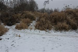 Bobrí chodník od šmykľavky