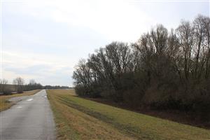 Mäkký luh, porast 206a