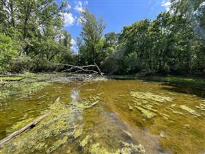 SKUEV0085_IL_RhodAmar_03