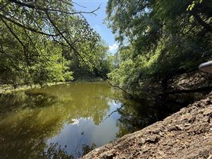 SKUEV0085_IL_RhodAmar_05