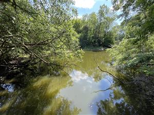 SKUEV0085_IL_RhodAmar_05