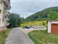 zlatobyl kanadská