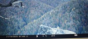 fotopasca