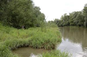 Horské vodné toky a bylinné porasty pozdĺž ich brehov