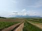 krkavec čierny (30.5.2023)