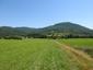 krkavec čierny (13.6.2023)