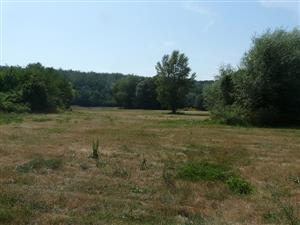 Tlmače - pohľad na psiarkovú lúku