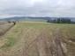 bocian čierny (4.6.2023)
