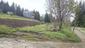 trasochvost biely (12.5.2023)