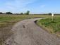 trasochvost biely (23.5.2023)