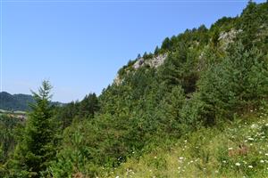 Lokalita – pohľad 2