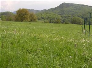 Pohľad na plochu TML