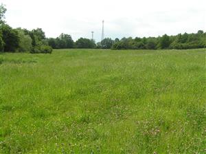 Celkový pohľad na TML