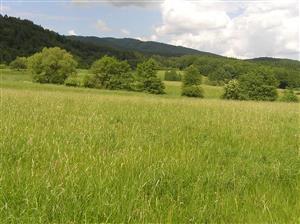 Celkový pohľad na plochu