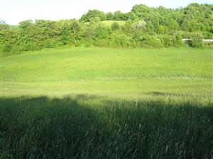 Celkový pohľad na TML