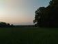 trasochvost biely (28.5.2023)