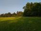trasochvost biely (28.5.2023)