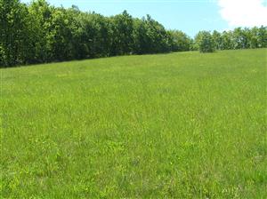 Pohľad na plochu v S časti