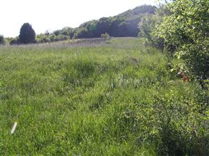 Pohľad na plochu TML