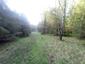 Vrana popolavá (29.4.2023)