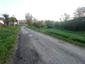 trasochvost biely (29.4.2023)