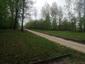 brhlík lesný (obyčajný) (28.5.2023)