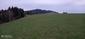 Žltochvost lesný ( hôrny) (21.5.2023)