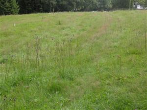 Celkový pohľad na lokalitu