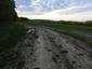 trasochvost biely (12.5.2023)