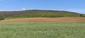 Žltochvost lesný ( hôrny) (26.5.2023)