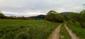trasochvost biely (8.5.2023)