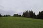 trasochvost biely (30.5.2023)
