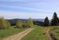 Vrana popolavá (14.5.2023)