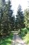 trasochvost biely (14.5.2023)