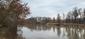 čorík čierny (17.4.2023)