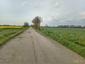Kukučka obyčajná (jarabá) (25.5.2023)