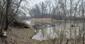 čorík čierny (19.2.2023)
