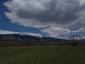 sova lesná (obyčajná) (24.4.2023)